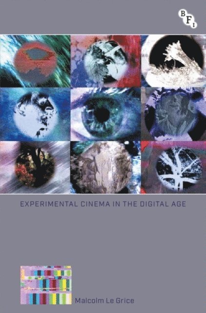 Malcolm Le Grice - Experimental Cinema in the Digital Age, E-bok