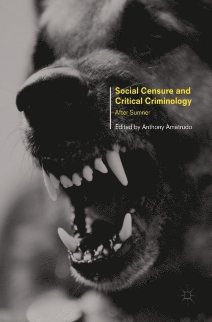 Anthony Amatrudo - Social Censure and Critical Criminology, E-bok