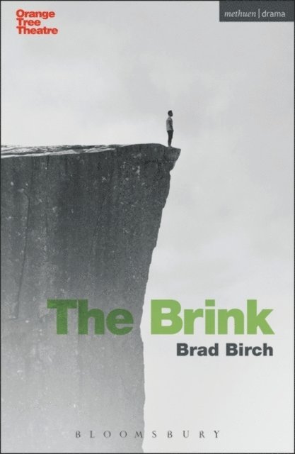 Brad Birch - Brink, E-bok