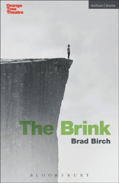 Brad Birch - Brink, E-bok