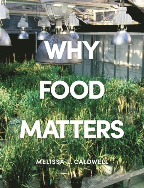 Melissa Caldwell - Why Food Matters, E-bok