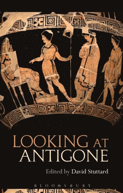 David Stuttard - Looking at Antigone, E-bok