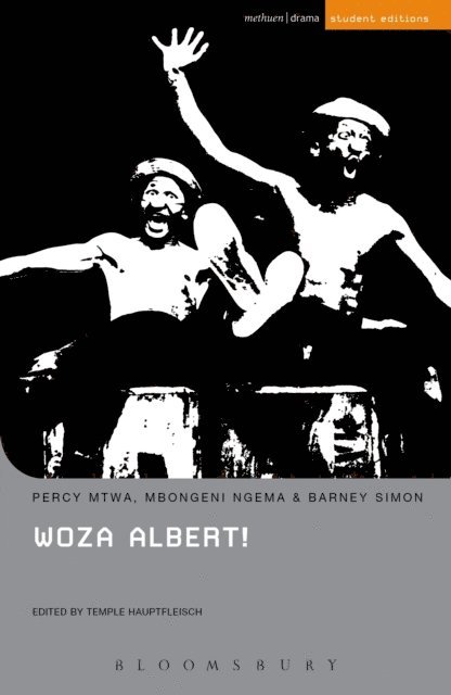 Percy Mtwa, Mbongeni Ngema, Barney Simon, Temple Hauptfleisch - Woza Albert!, E-bok