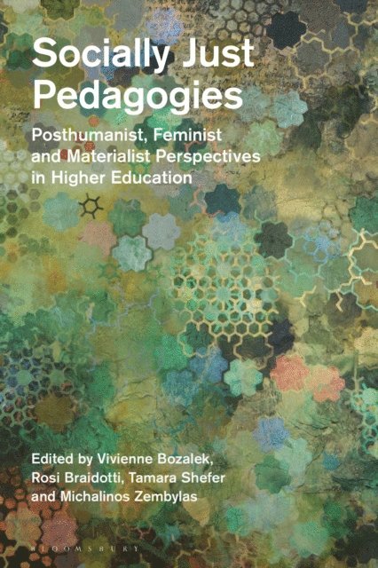 Rosi Braidotti, Vivienne Bozalek, Tamara Shefer, Michalinos Zembylas - Socially Just Pedagogies, E-bok