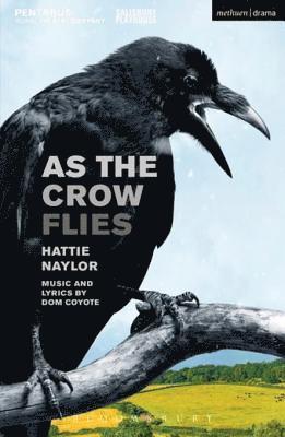 Hattie Naylor - As the Crow Flies, E-bok