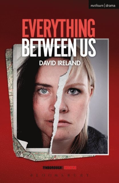 David Ireland - Everything Between Us, E-bok