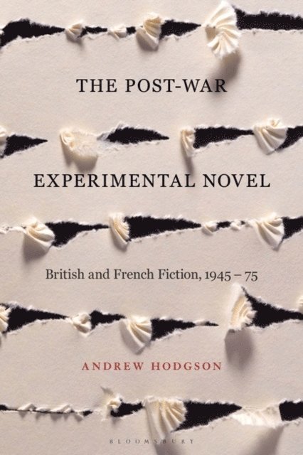 Andrew Hodgson - Post-War Experimental Novel, E-bok