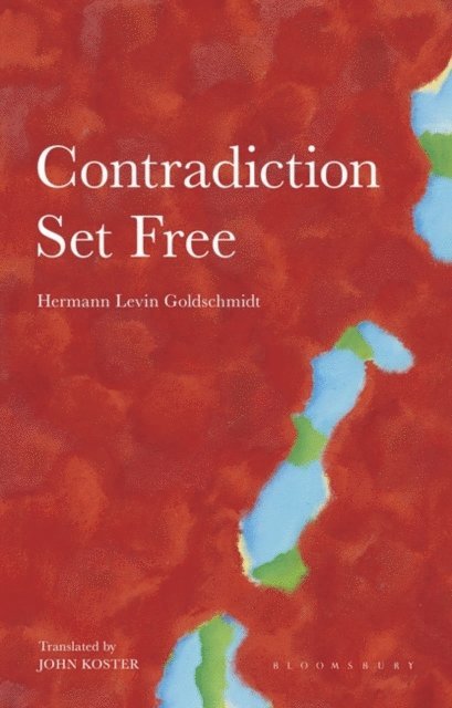 Hermann Levin Goldschmidt - Contradiction Set Free, E-bok