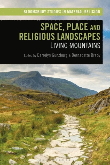 Darrelyn Gunzburg, Bernadette Brady - Space, Place and Religious Landscapes, E-bok
