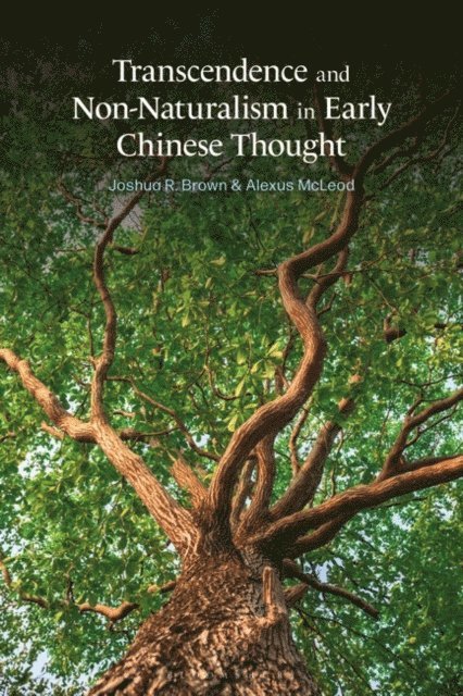 Alexus McLeod, Joshua R. Brown - Transcendence and Non-Naturalism in Early Chinese Thought, E-bok
