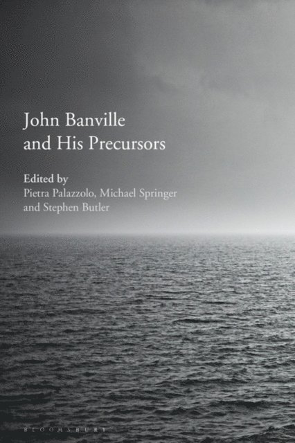 Pietra Palazzolo, Michael Springer, Stephen Butler - John Banville and His Precursors, E-bok