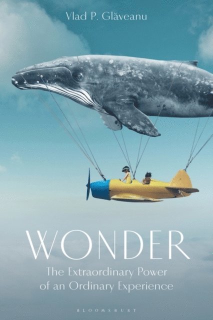 Vlad P. Glaveanu - Wonder, E-bok