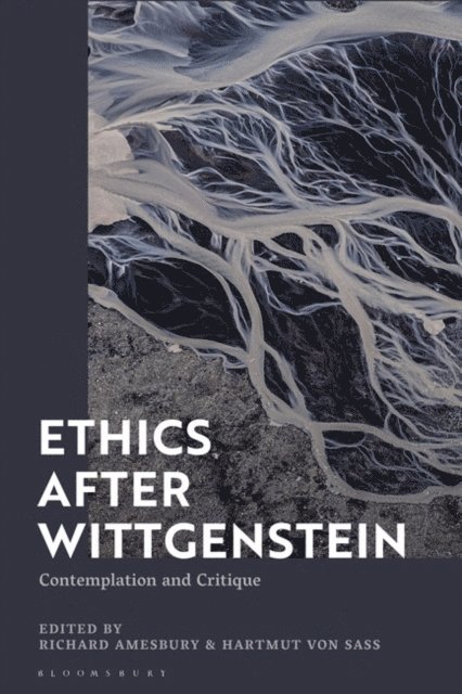 Richard Amesbury, Hartmut von Sass - Ethics after Wittgenstein, E-bok