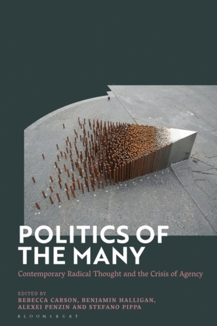 Benjamin Halligan, Alexei Penzin, Stefano Pippa, Rebecca Carson - Politics of the Many, E-bok