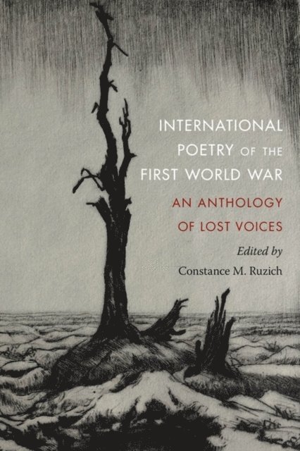 Constance M. Ruzich - International Poetry of the First World War, E-bok