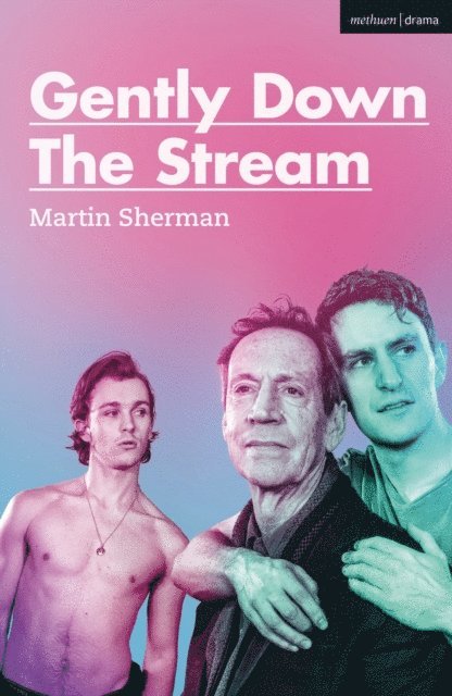 Martin Sherman - Gently Down the Stream, E-bok