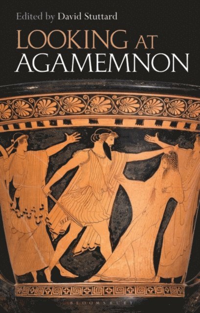 David Stuttard - Looking at Agamemnon, E-bok