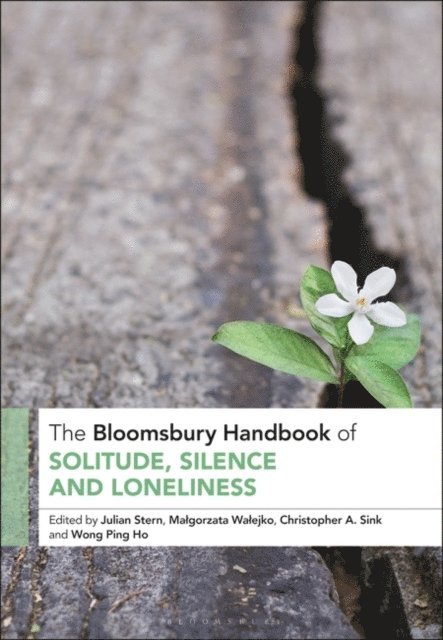 Julian Stern, Christopher A. Sink, Wong Ping Ho, Malgorzata Walejko - Bloomsbury Handbook of Solitude, Silence and Loneliness, E-bok