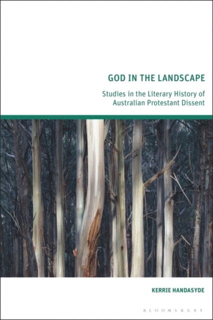 Kerrie Handasyde - God in the Landscape, E-bok