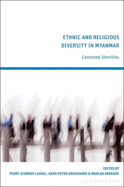 Perry Schmidt-Leukel, Hans-Peter Grosshans, Madlen Krueger - Ethnic and Religious Diversity in Myanmar, E-bok