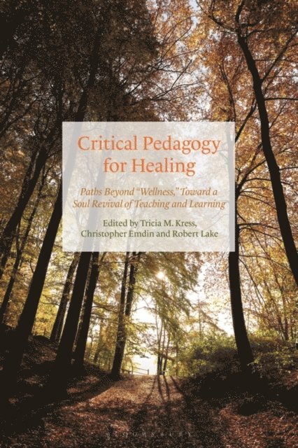 Tricia Kress, Christopher Emdin, Robert Lake - Critical Pedagogy for Healing, E-bok