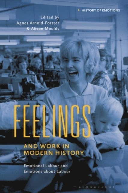 Agnes Arnold-Forster, Alison Moulds - Feelings and Work in Modern History, E-bok
