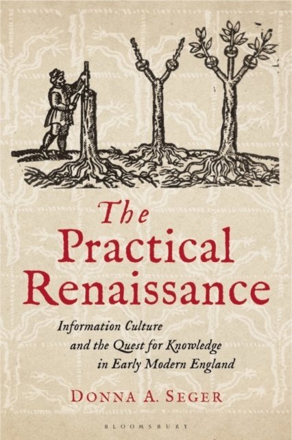 Donna A. Seger - Practical Renaissance, E-bok