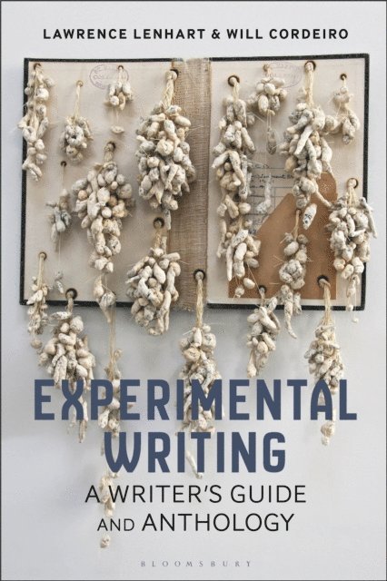 Lawrence Lenhart, Will Cordeiro - Experimental Writing, E-bok