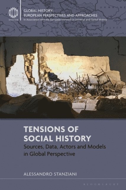 Alessandro Stanziani - Tensions of Social History, E-bok