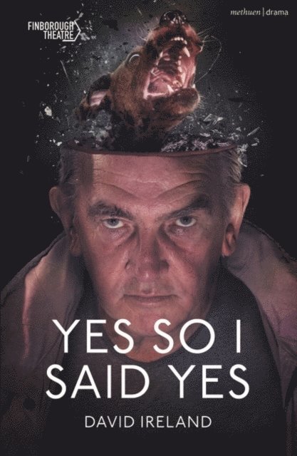 David Ireland - Yes So I Said Yes, E-bok