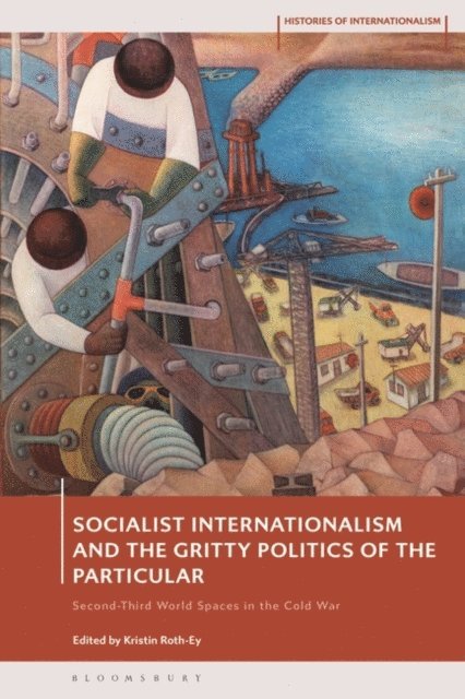 Kristin Roth-Ey - Socialist Internationalism and the Gritty Politics of the Particular, E-bok