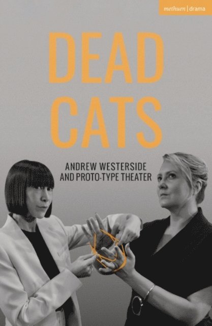 Andrew Westerside - Dead Cats, E-bok