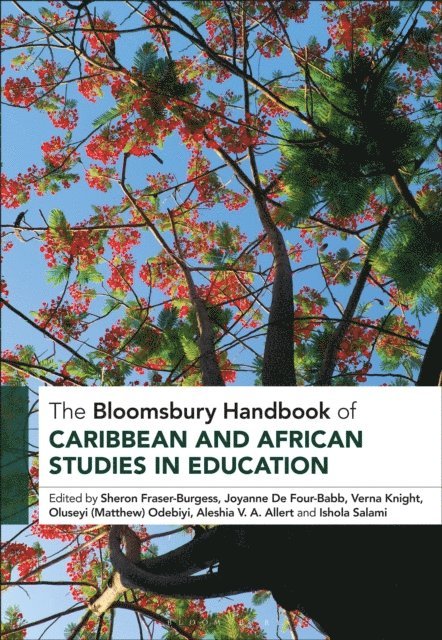 Sheron Fraser-Burgess, Joyanne De Four-Babb, Verna Knight, Oluseyi Matthew Odebiyi, Aleshia V. A. Allert, Ishola A. Salami - Bloomsbury Handbook of Caribbean and African Studies in Education, E-bok