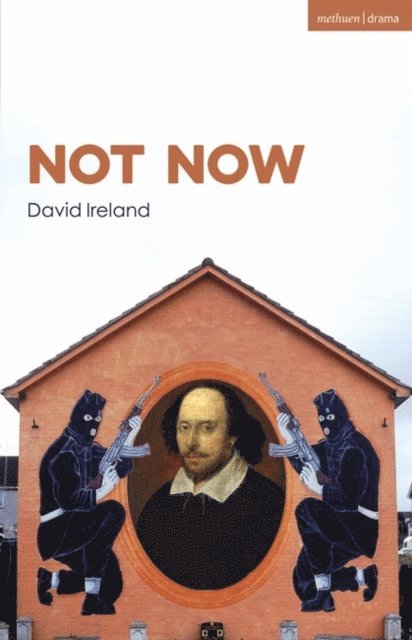 David Ireland - Not Now, E-bok