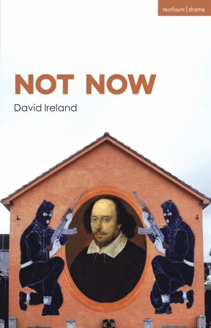 David Ireland - Not Now, E-bok
