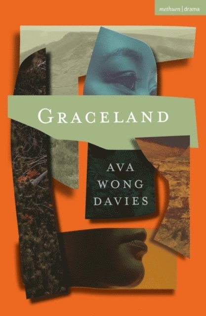 Ava Wong Davies - Graceland, E-bok