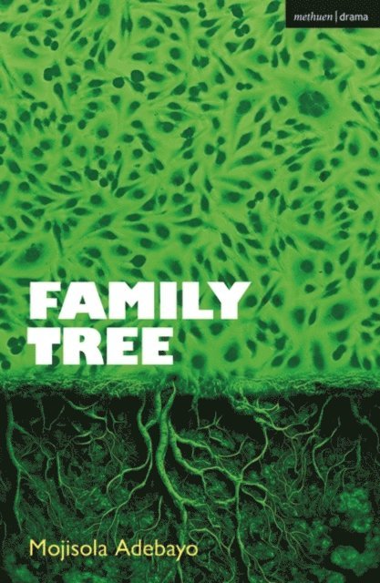 Mojisola Adebayo - Family Tree, E-bok