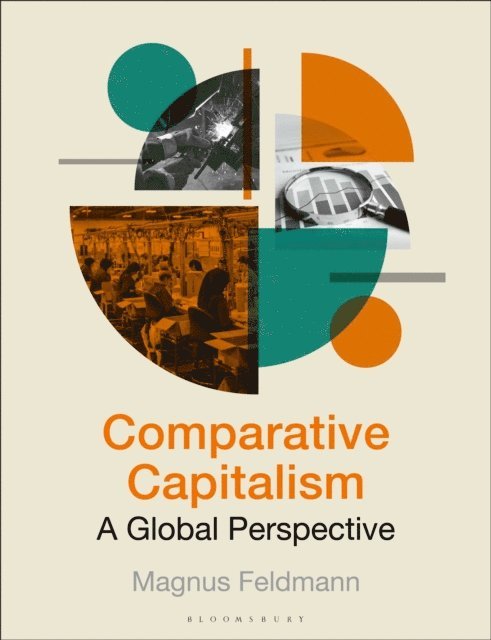 Magnus Feldmann - Comparative Capitalism, E-bok