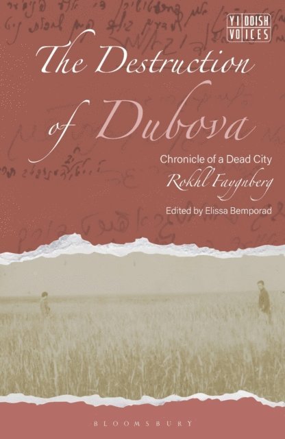 Rokhl Faygnberg, Elissa Bemporad - Destruction of Dubova, E-bok