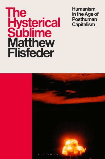 Matthew Flisfeder - Hysterical Sublime, E-bok