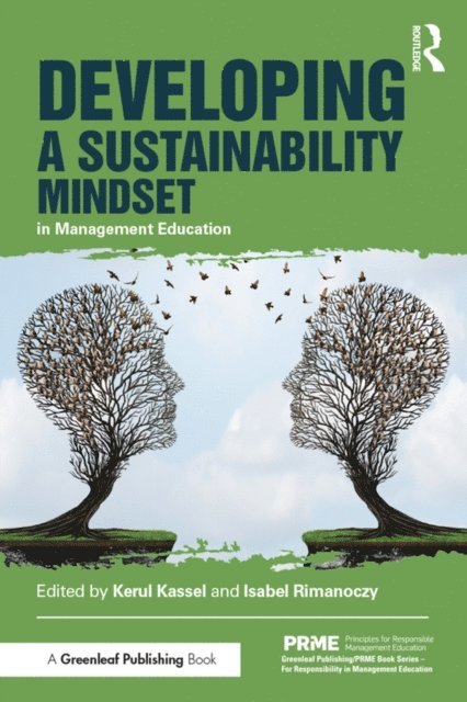 Isabel Rimanoczy, Kerul Kassel - Developing a Sustainability Mindset in Management Education, E-bok