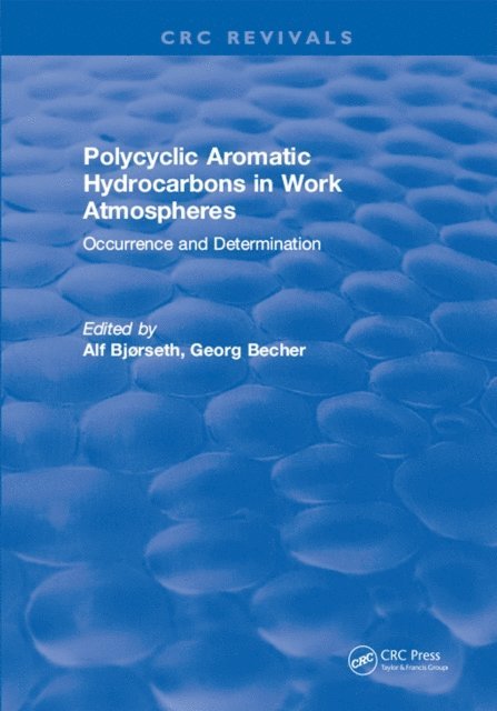 Alf Bjorseth - Polycyclic Aromatic Hydrocarbons in Work Atmospheres, E-bok