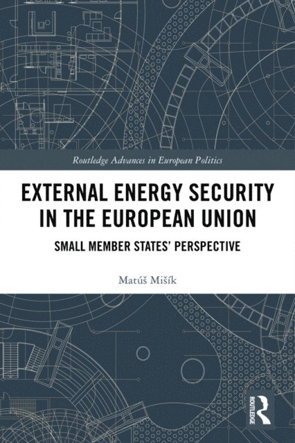 Matus Misik - External Energy Security in the European Union, E-bok