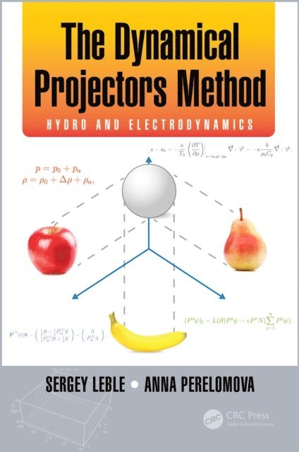 Anna Perelomova, Sergey Leble - Dynamical Projectors Method, E-bok