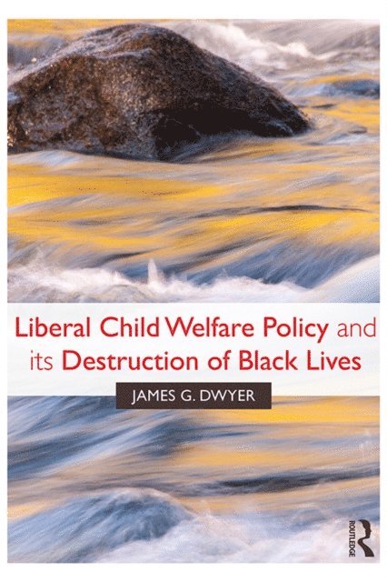 James G. Dwyer - Liberal Child Welfare Policy and its Destruction of Black Lives, E-bok