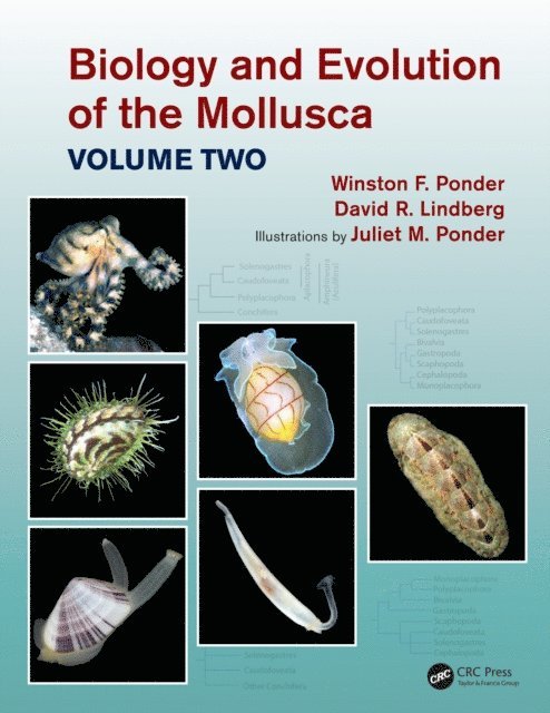 Juliet Mary Ponder, David R. Lindberg, Winston Frank Ponder - Biology and Evolution of the Mollusca, Volume 2, E-bok