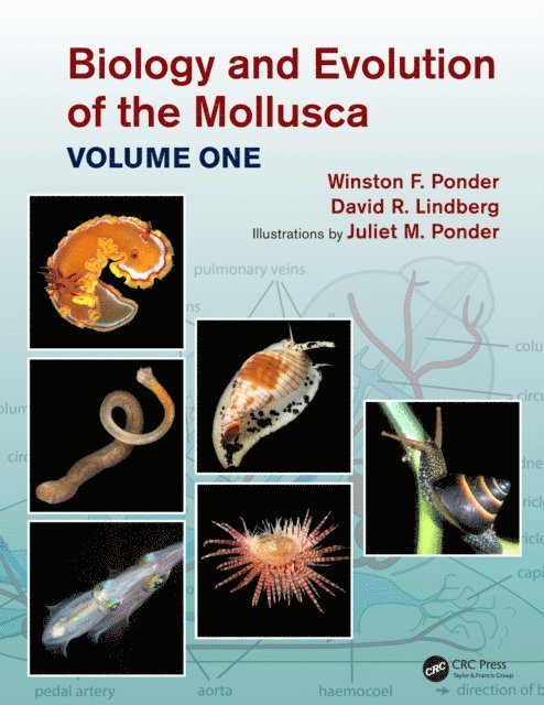Juliet Mary Ponder, David R. Lindberg, Winston Frank Ponder - Biology and Evolution of the Mollusca, Volume 1, E-bok