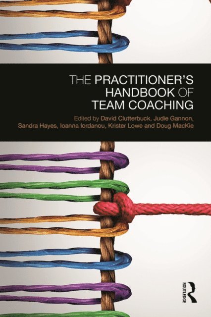 Doug MacKie, Krister Lowe, Ioanna Iordanou, Sandra Hayes, Judie Gannon, David Clutterbuck - Practitioner's Handbook of Team Coaching, E-bok