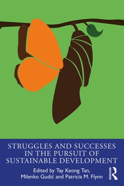 Patricia Flynn, Milenko Gudic, Tay Keong Tan - Struggles and Successes in the Pursuit of Sustainable Development, E-bok