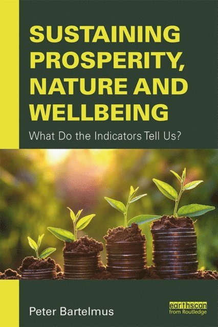 Peter Bartelmus - Sustaining Prosperity, Nature and Wellbeing, E-bok